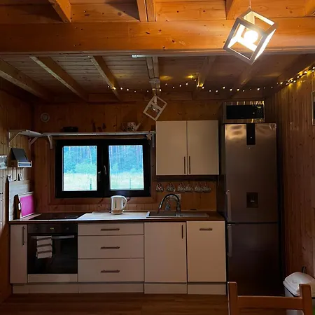 Holiday home W Sosnach Kamienczyk (Wyszkow)