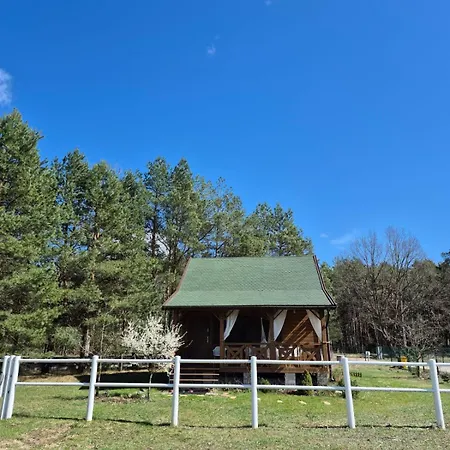 W Sosnach Kamienczyk (Wyszkow)