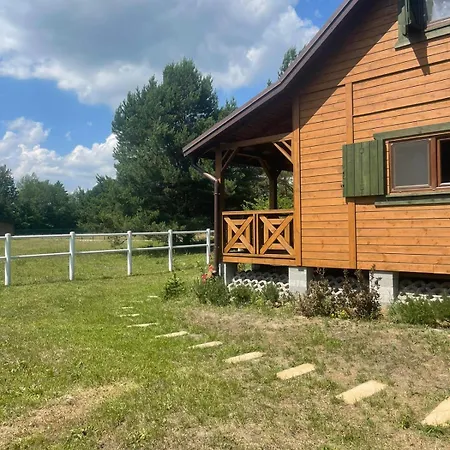 Holiday home W Sosnach *