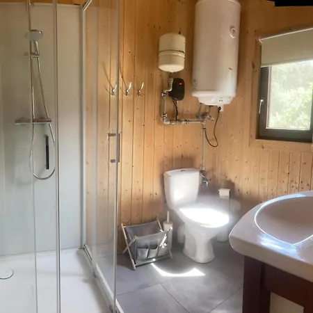 W Sosnach Kamienczyk (Wyszkow)