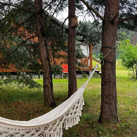 Holiday home W Sosnach Kamienczyk (Wyszkow)