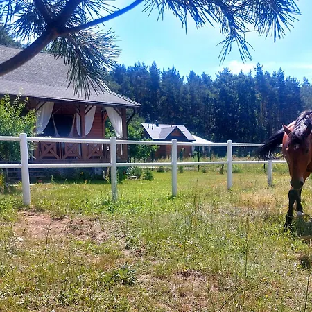 Сasa de vacaciones W Sosnach *