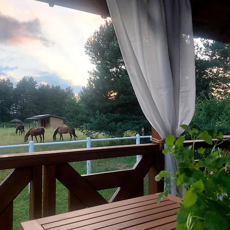 W Sosnach * Kamienczyk (Wyszkow)