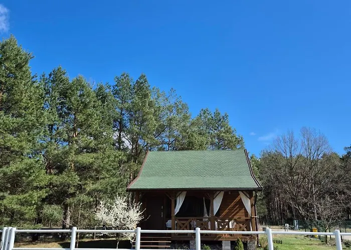 W Sosnach Kamienczyk (Wyszkow)