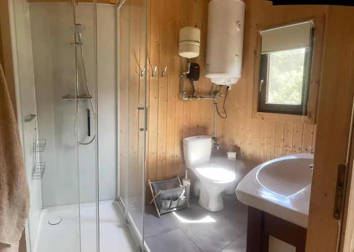 W Sosnach Kamienczyk (Wyszkow)