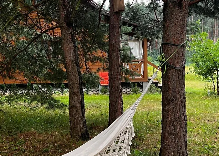 بيت للعطل W Sosnach Kamienczyk (Wyszkow)