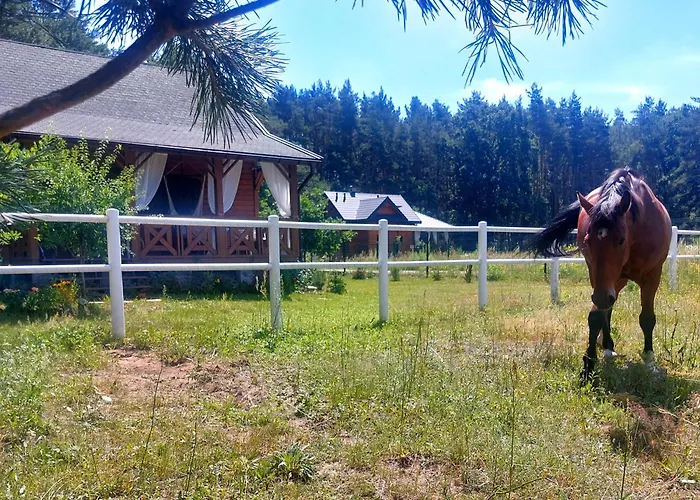 Holiday home W Sosnach *