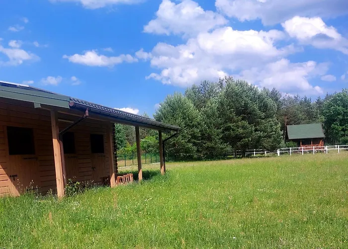 W Sosnach Kamienczyk (Wyszkow)