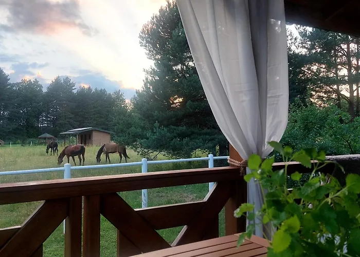 W Sosnach * Kamienczyk (Wyszkow)